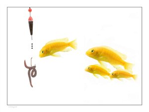 方案实战教程：手把手教你操作